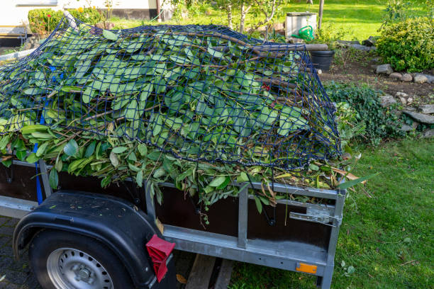 Same-Day Junk Removal Services in Seminole, FL